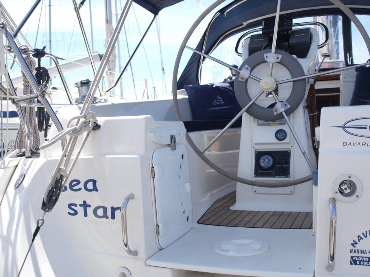 Sea Star