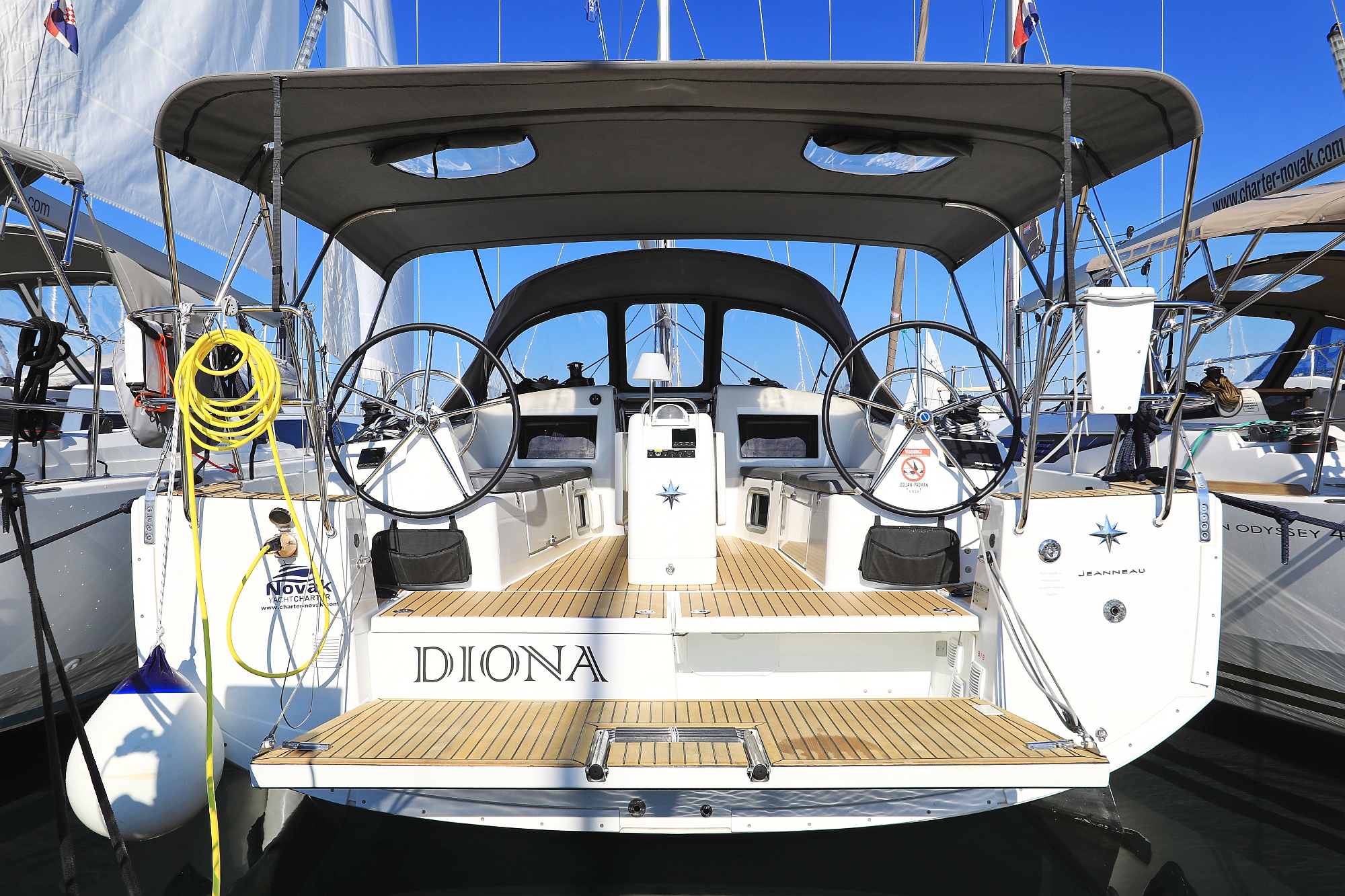 Diona
