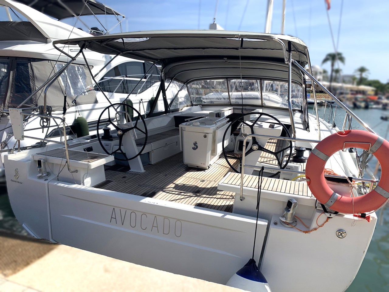 Avocado