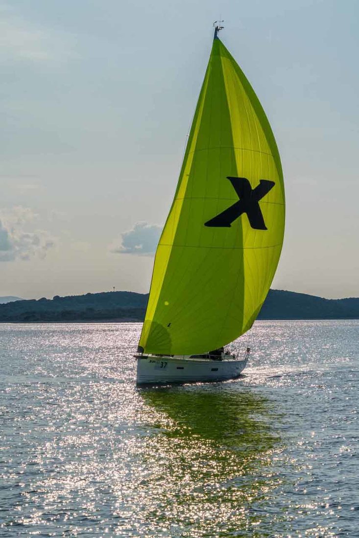 Xara