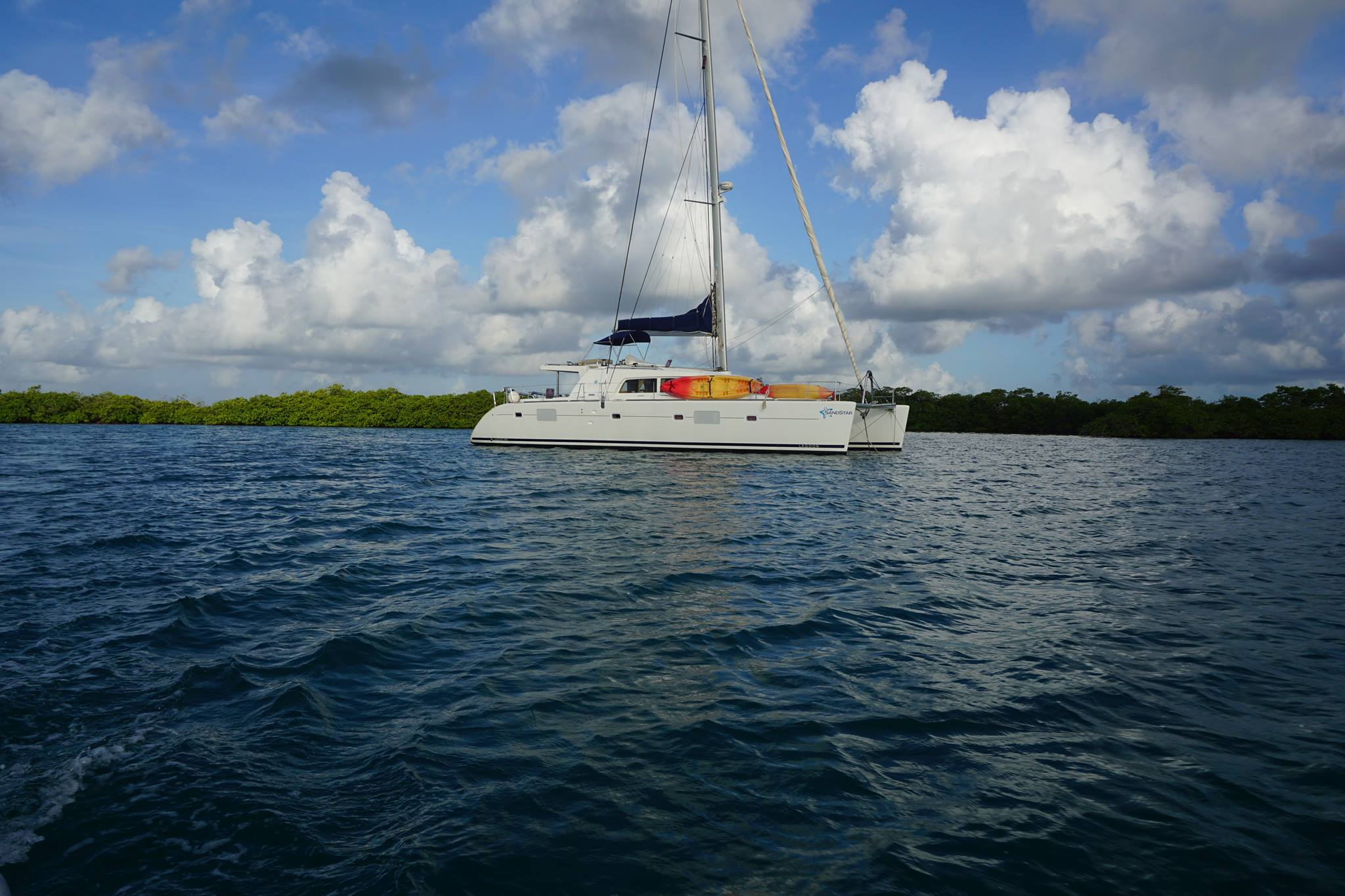 Sand Star