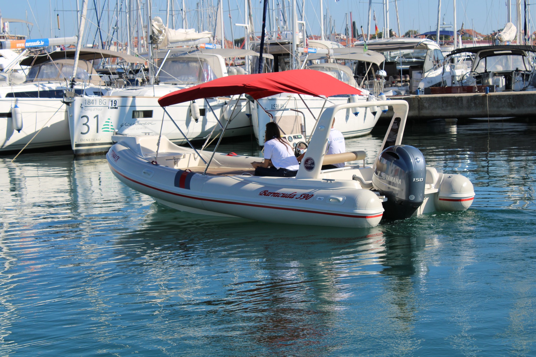 Barracuda 590 - 11