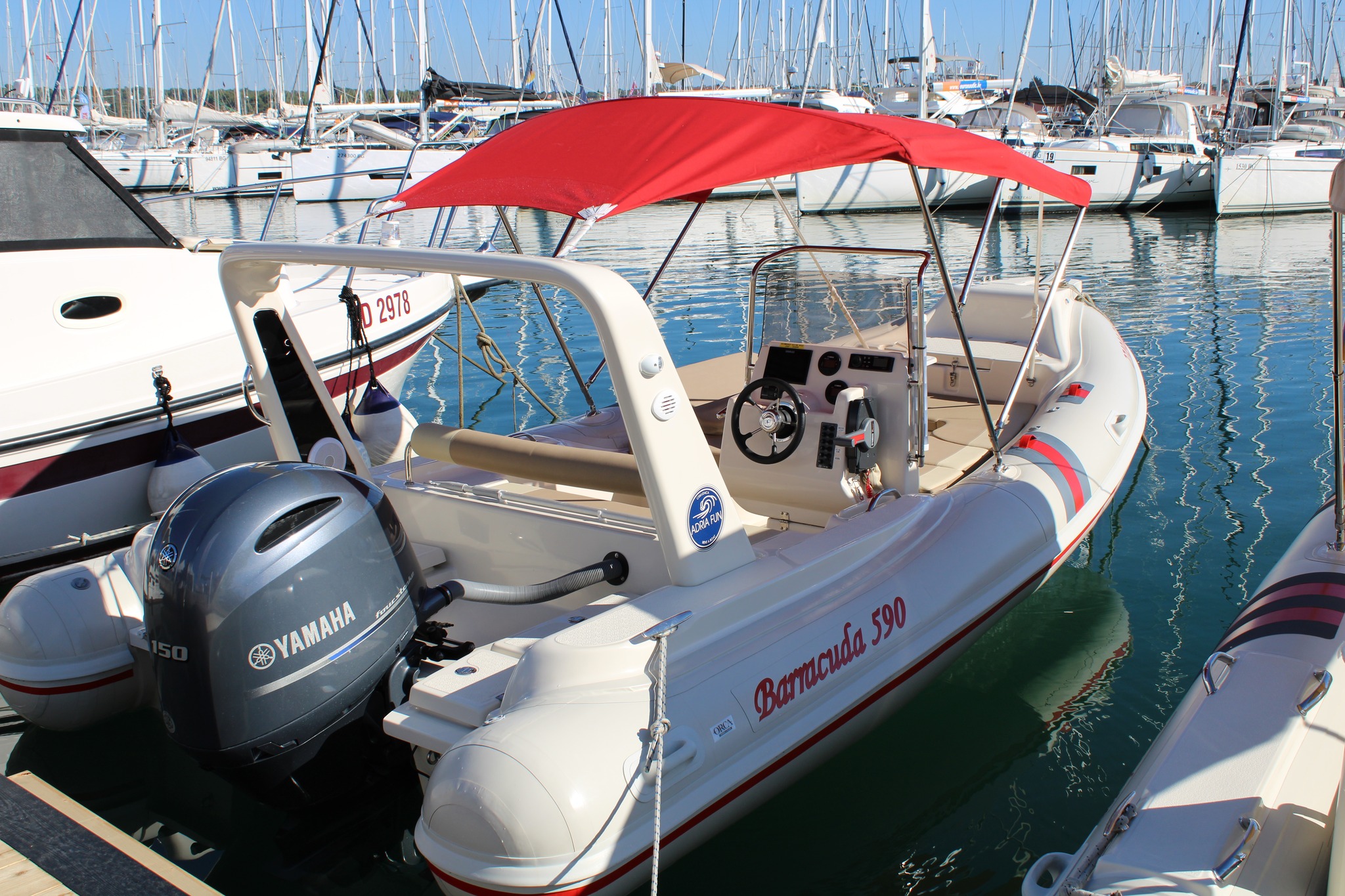 Barracuda 590 - 12