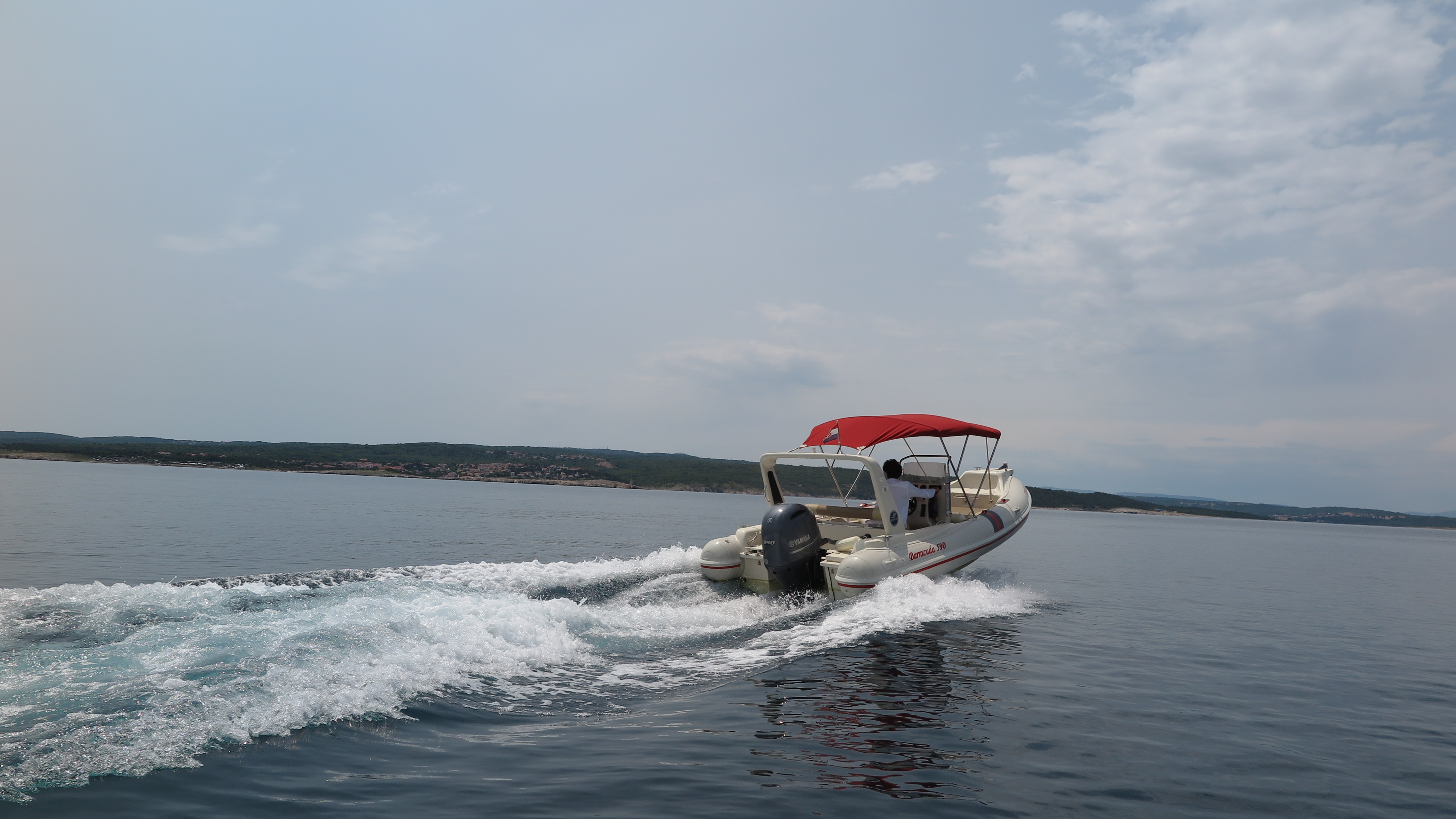 Barracuda 590 - 12