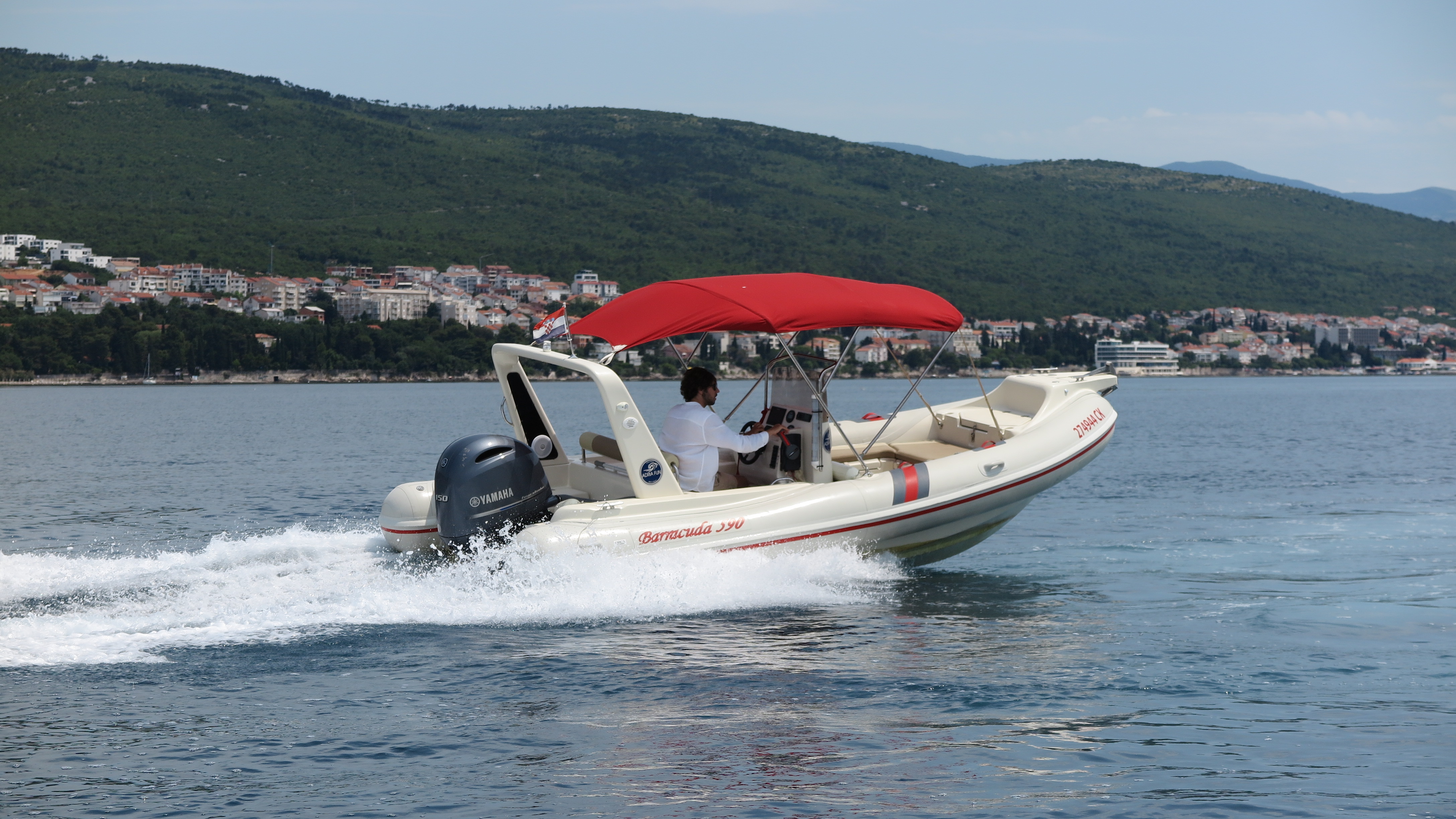 Barracuda 590 - 12
