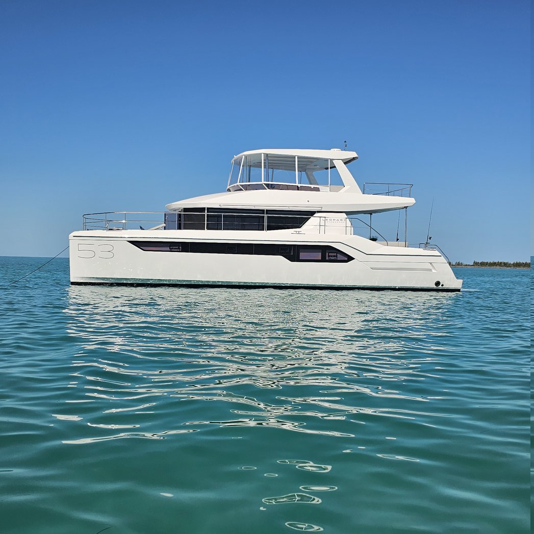 Nauti Cat