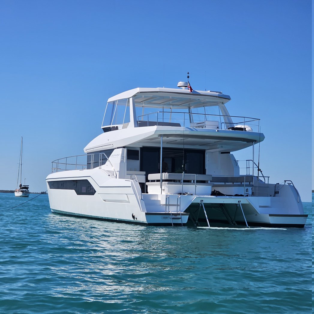 Nauti Cat