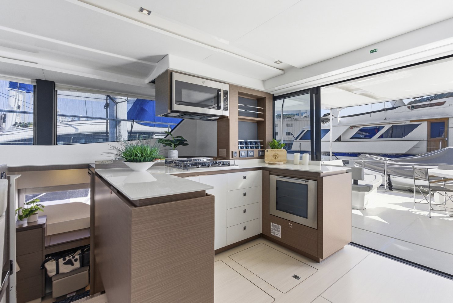 Nauti Cat